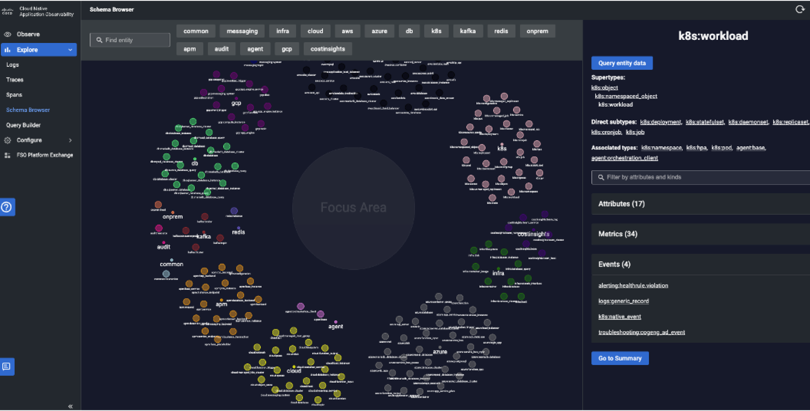 Summer-2023-schema-browser